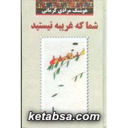 شما که غریبه نیستید (معین)