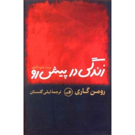 زندگی در پیش رو (ثالث)