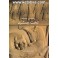 کتاب راهنمای مستند تخت جمشید (سفیران - فرهنگسرای میردشتی)