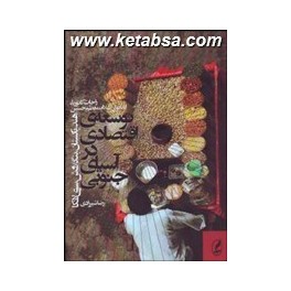 توسعه ی اقتصادی در آسیای جنوبی : هند پاکستان بنگلادش سری لانکا (آگه)